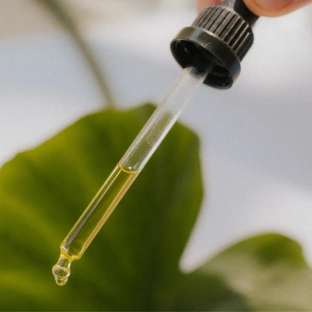 Close-up of a dropper releasing Kahina Argan Oil, showcasing the oil's light texture against a green leaf background.